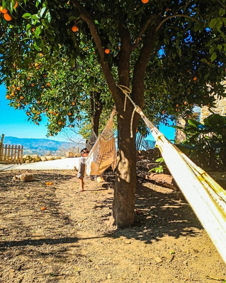 Verde Água Agroturismo e Agricultura Biológica Couto Exterior foto