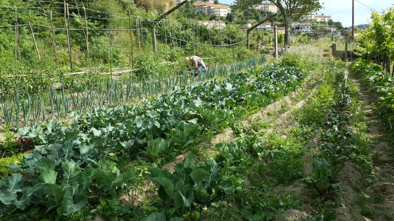 Verde Água Agroturismo e Agricultura Biológica Couto Exterior foto