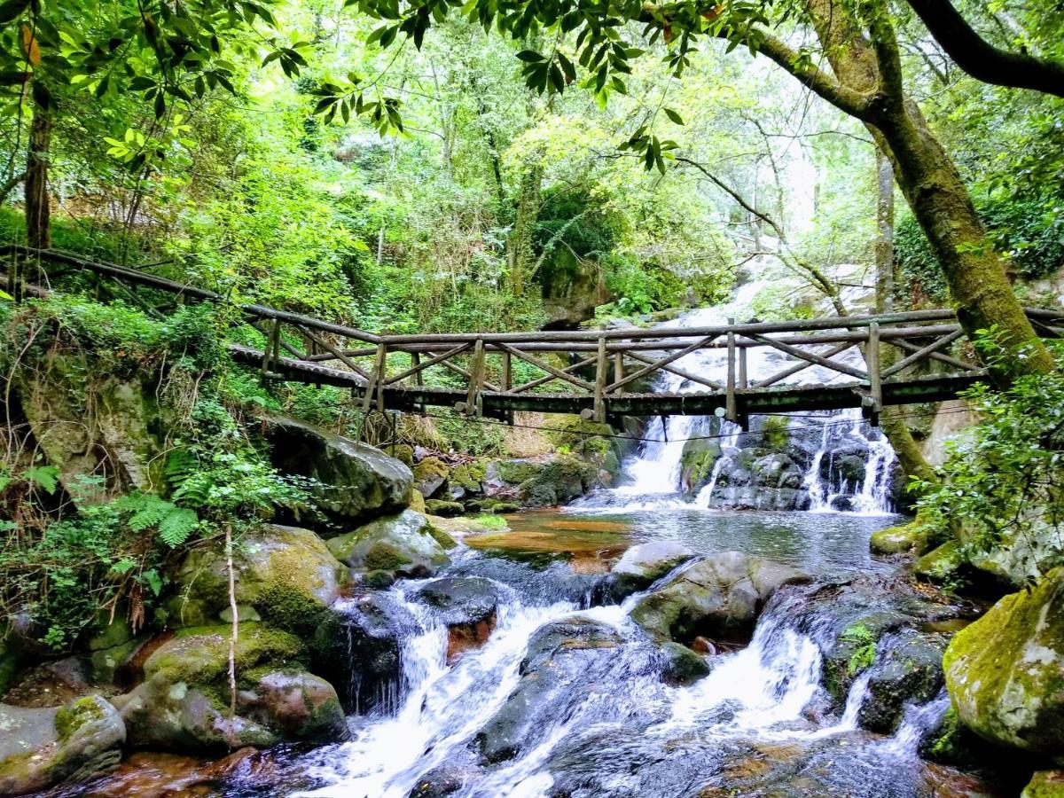 Verde Água Agroturismo e Agricultura Biológica Couto Exterior foto